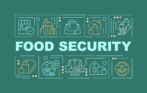 segurança-alimentar-e-nutricional Vários ícones de alimentação e a frase "FOOD SECURITY"